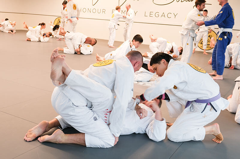 gracie botany traditional gi bjj beginners and advanced classes 