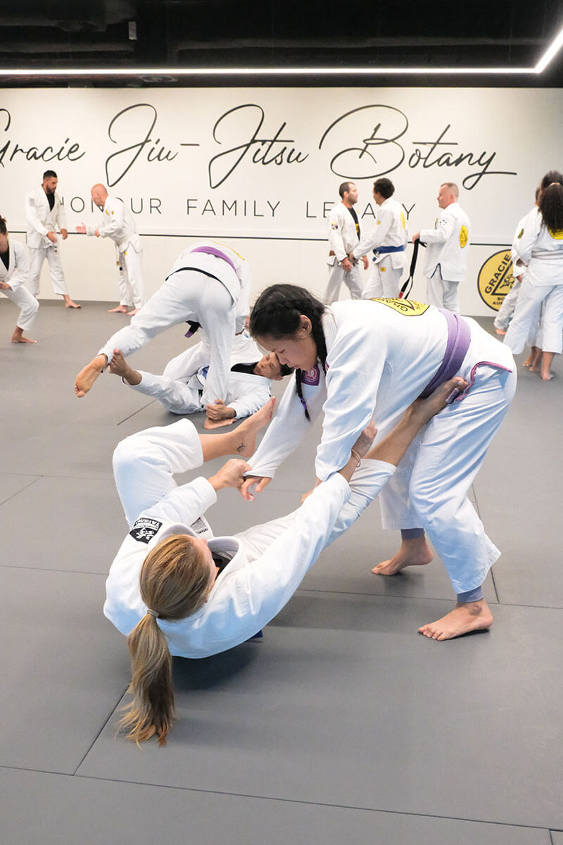 gracie botany traditional gi bjj beginners and advanced classes